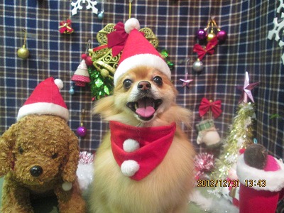 ファイル 5964-1.jpg