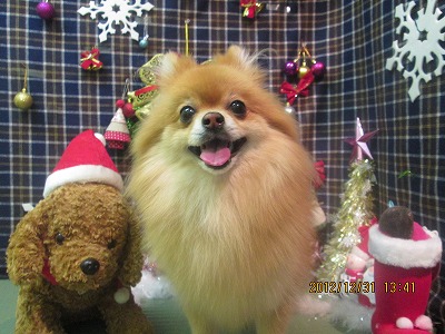 ファイル 5964-2.jpg