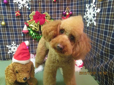 ファイル 5965-1.jpg