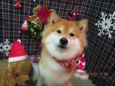 ファイル 5966-1.jpg