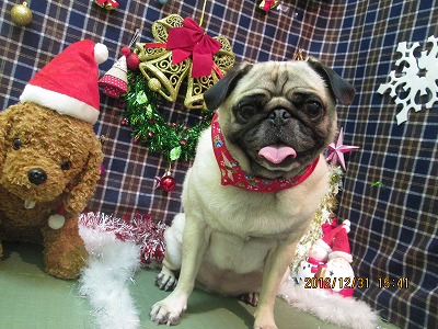 ファイル 5968-1.jpg