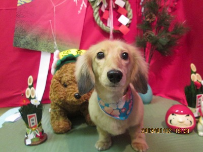 ファイル 5969-2.jpg