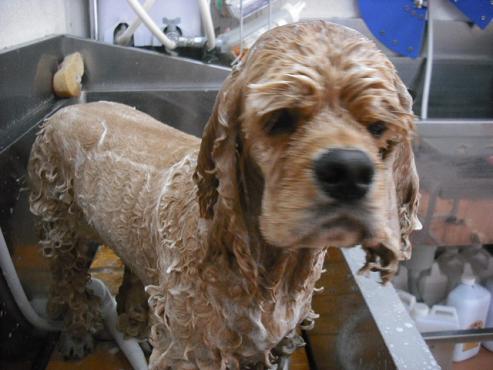 ファイル 597-2.jpg