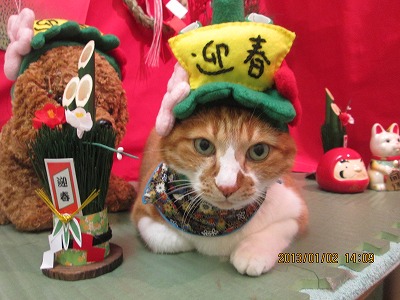 ファイル 5970-1.jpg