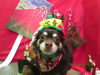 ファイル 5971-1.jpg