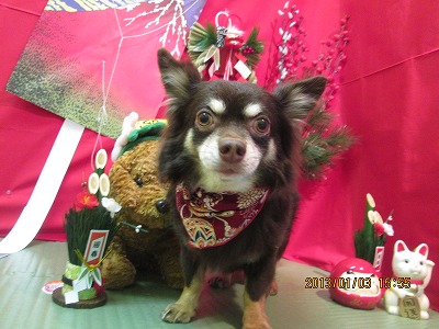 ファイル 5971-2.jpg