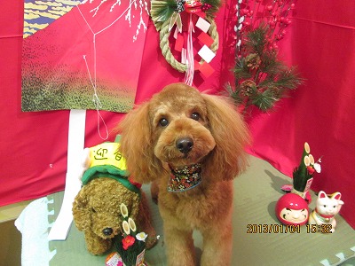 ファイル 5972-2.jpg