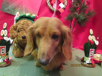 ファイル 5973-2.jpg