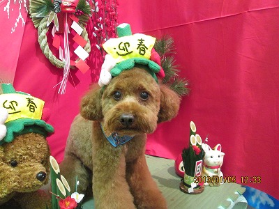 ファイル 5974-1.jpg