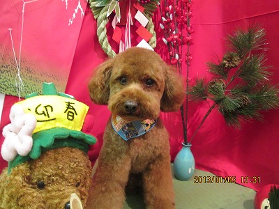 ファイル 5974-2.jpg