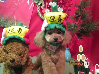 ファイル 5975-1.jpg