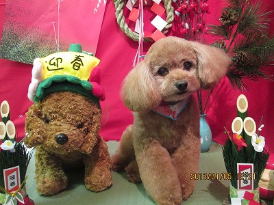 ファイル 5975-2.jpg