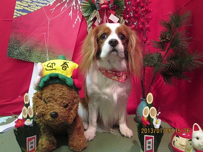 ファイル 5976-2.jpg