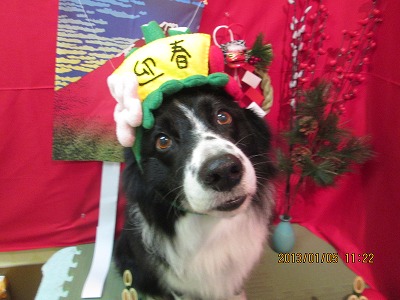 ファイル 5977-1.jpg