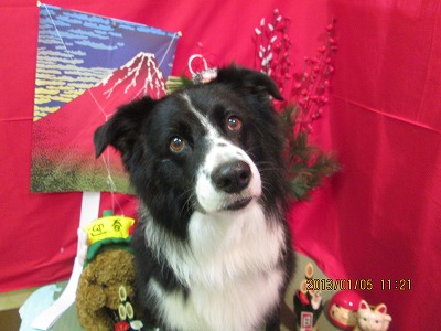 ファイル 5977-2.jpg