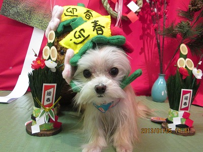 ファイル 5978-1.jpg