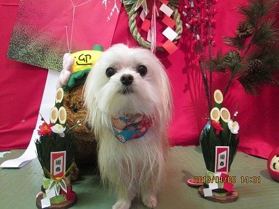 ファイル 5978-2.jpg