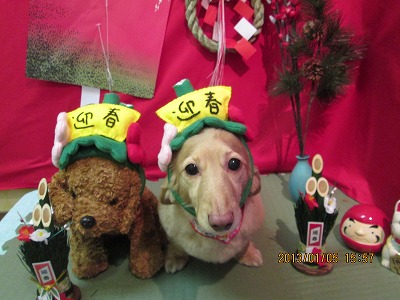 ファイル 5979-1.jpg