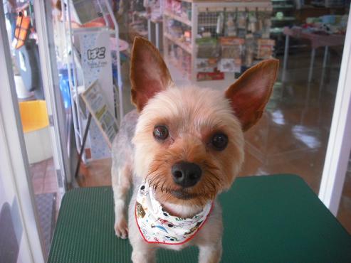 ファイル 598-1.jpg