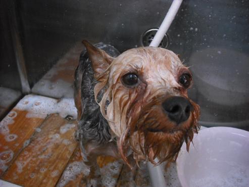 ファイル 598-3.jpg