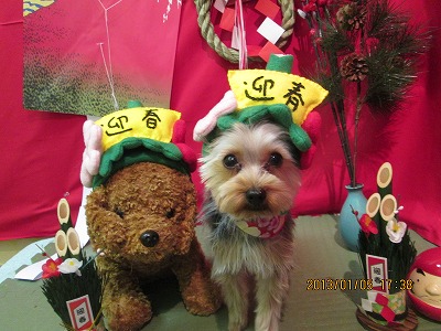 ファイル 5980-1.jpg