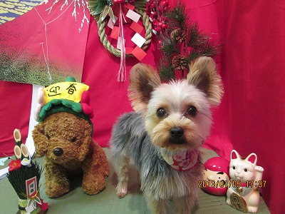 ファイル 5980-2.jpg