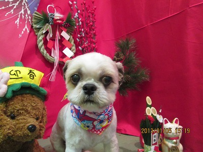 ファイル 5981-2.jpg