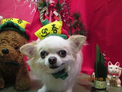 ファイル 5982-1.jpg