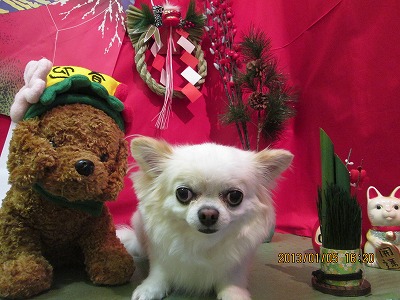 ファイル 5982-2.jpg