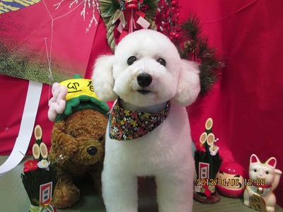 ファイル 5983-2.jpg