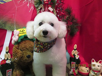 ファイル 5983-3.jpg