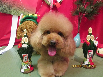 ファイル 5984-1.jpg