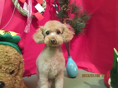 ファイル 5985-1.jpg