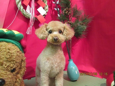 ファイル 5985-2.jpg