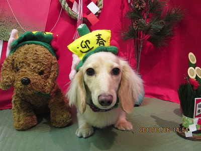 ファイル 5987-1.jpg