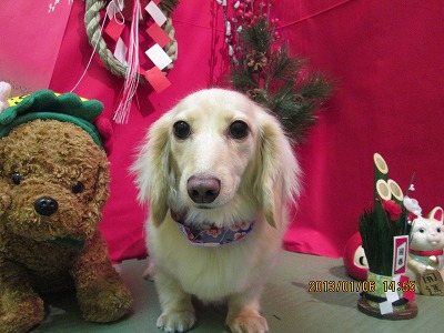 ファイル 5987-2.jpg