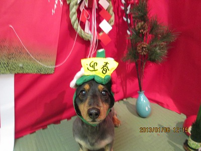 ファイル 5988-1.jpg