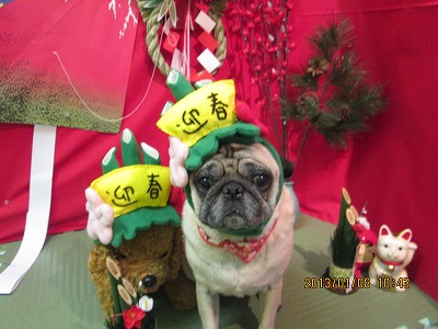 ファイル 5989-1.jpg