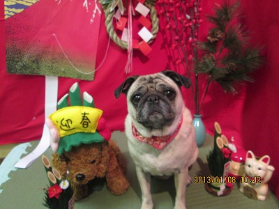 ファイル 5989-2.jpg