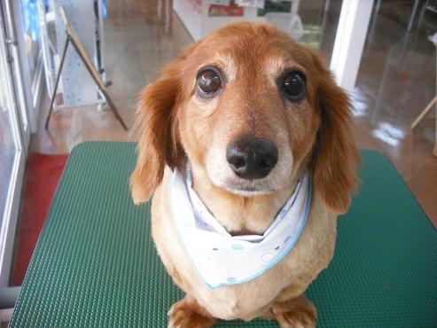 ファイル 599-1.jpg