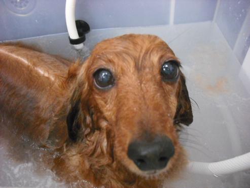 ファイル 599-3.jpg