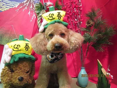 ファイル 5990-1.jpg