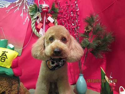 ファイル 5990-2.jpg