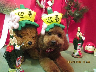 ファイル 5991-1.jpg