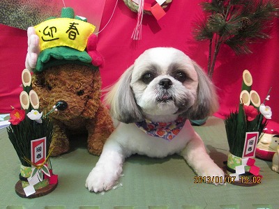 ファイル 5992-2.jpg