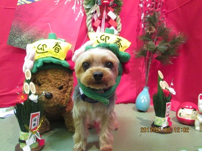 ファイル 5993-1.jpg