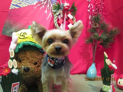 ファイル 5993-2.jpg