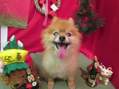 ファイル 5994-2.jpg