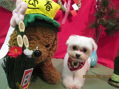 ファイル 5995-2.jpg