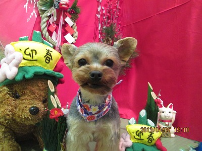 ファイル 5996-1.jpg